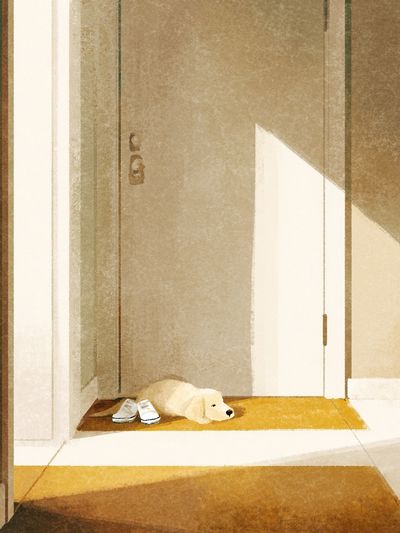 Sunlit Hallway with Sleeping Dog Print. poster print