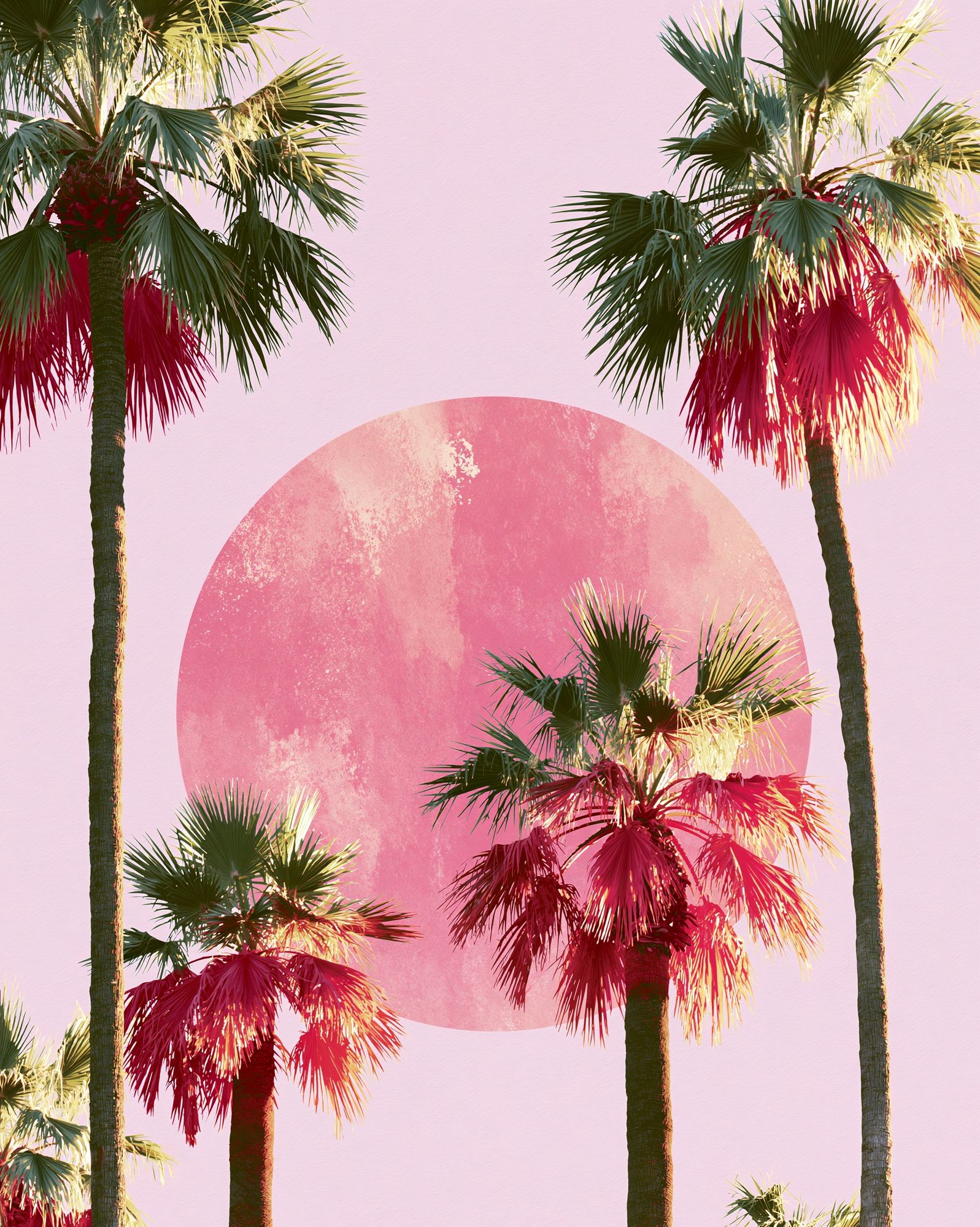 Pink Palm Sunset Illustration Poster. poster — illustration art