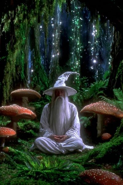 Wizard in Enchanted Forest Poster. poster