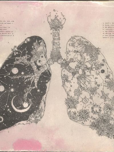 Celestial Lungs Illustration Poster. poster