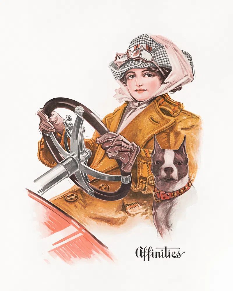 Affinities Fashion Illustration Poster. poster — illustration art