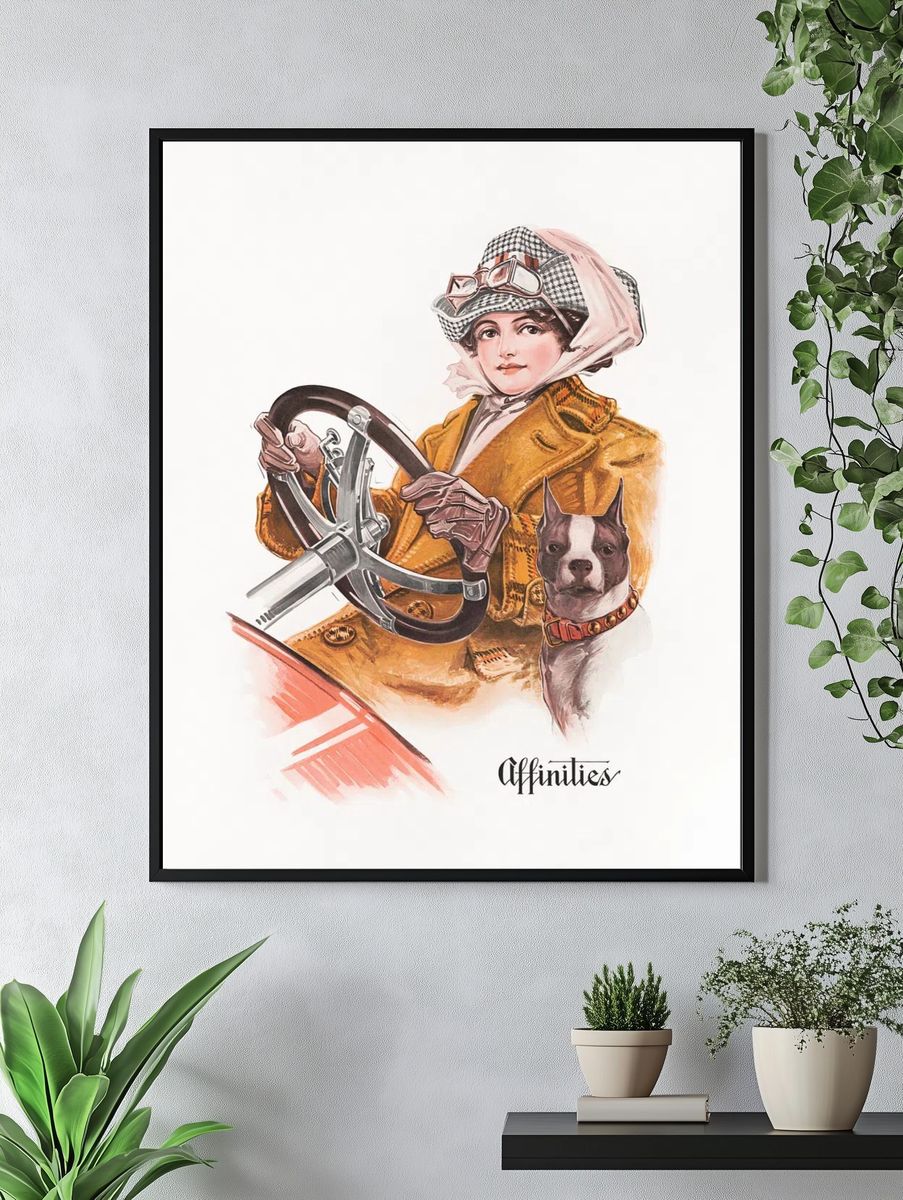 Affinities Fashion Illustration Poster. — room view 4