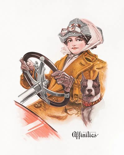 Affinities Fashion Illustration Poster. poster print