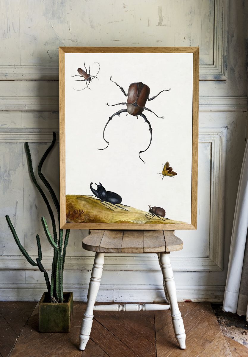 Insect Study — Botanical Print. — room view 1