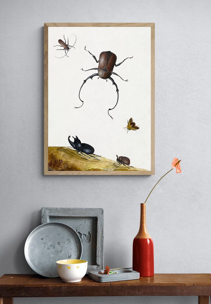 Insect Study — Botanical Print. — room view 3