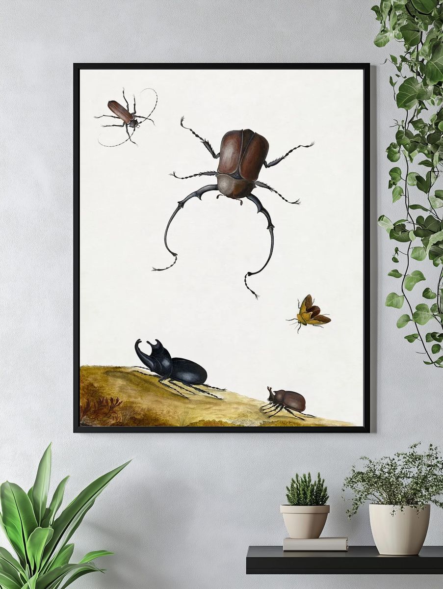 Insect Study — Botanical Print. — room view 4