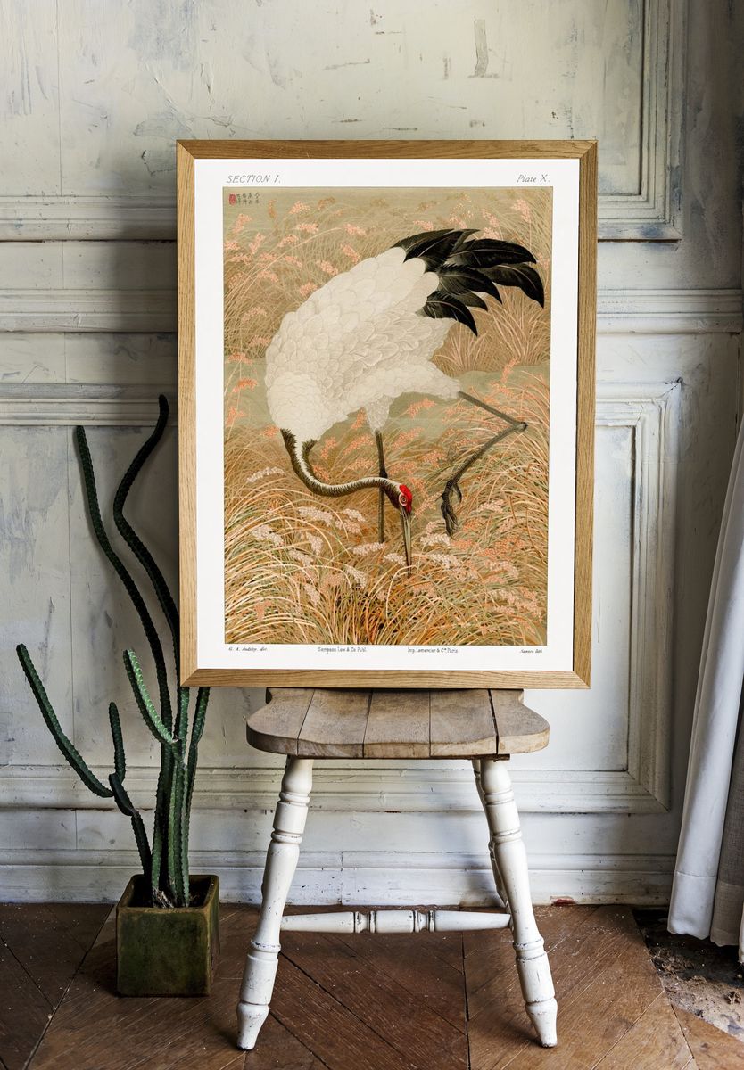 Sarus crane in rice field — Art Print. — room view 1