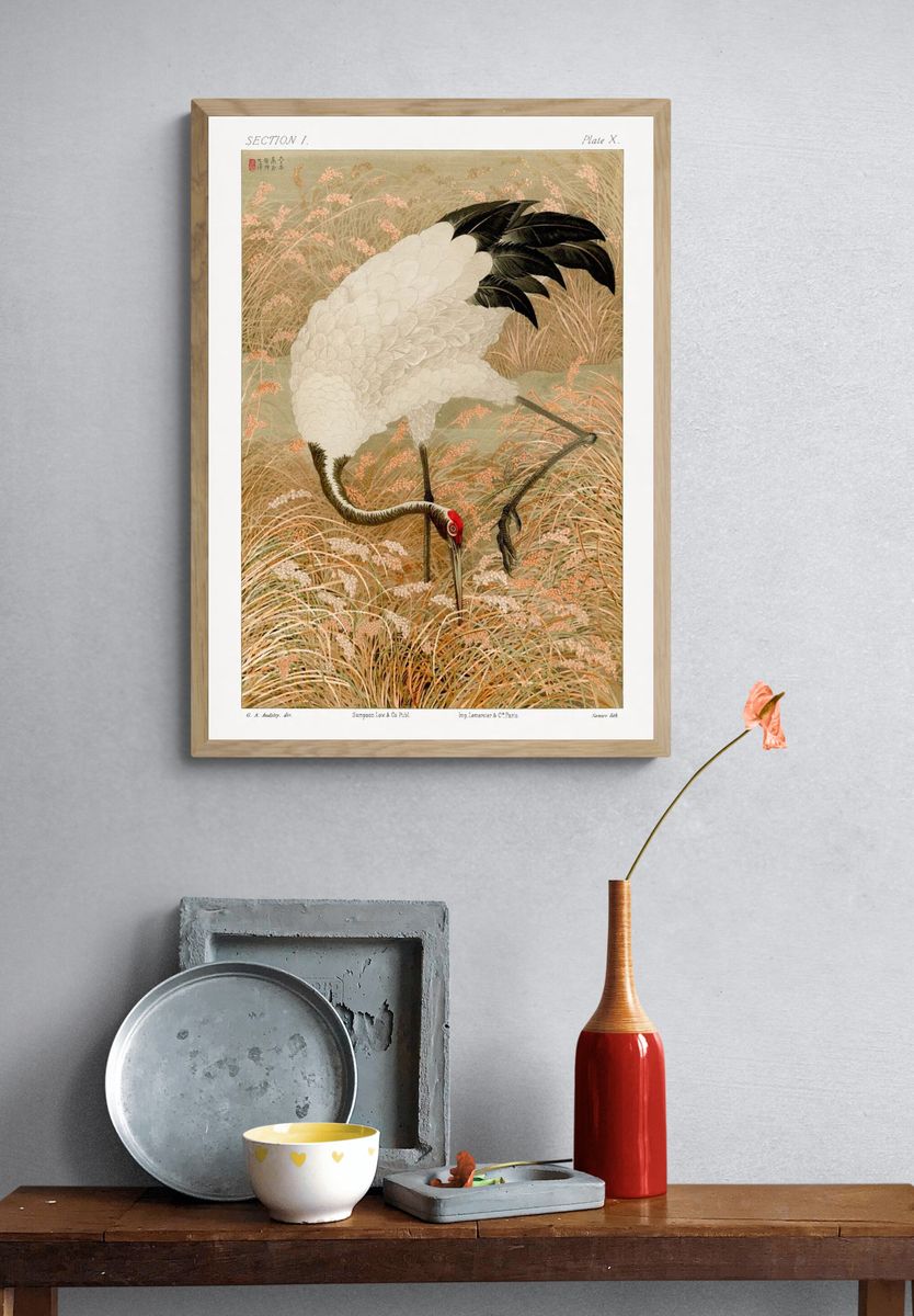 Sarus crane in rice field — Art Print. — room view 3