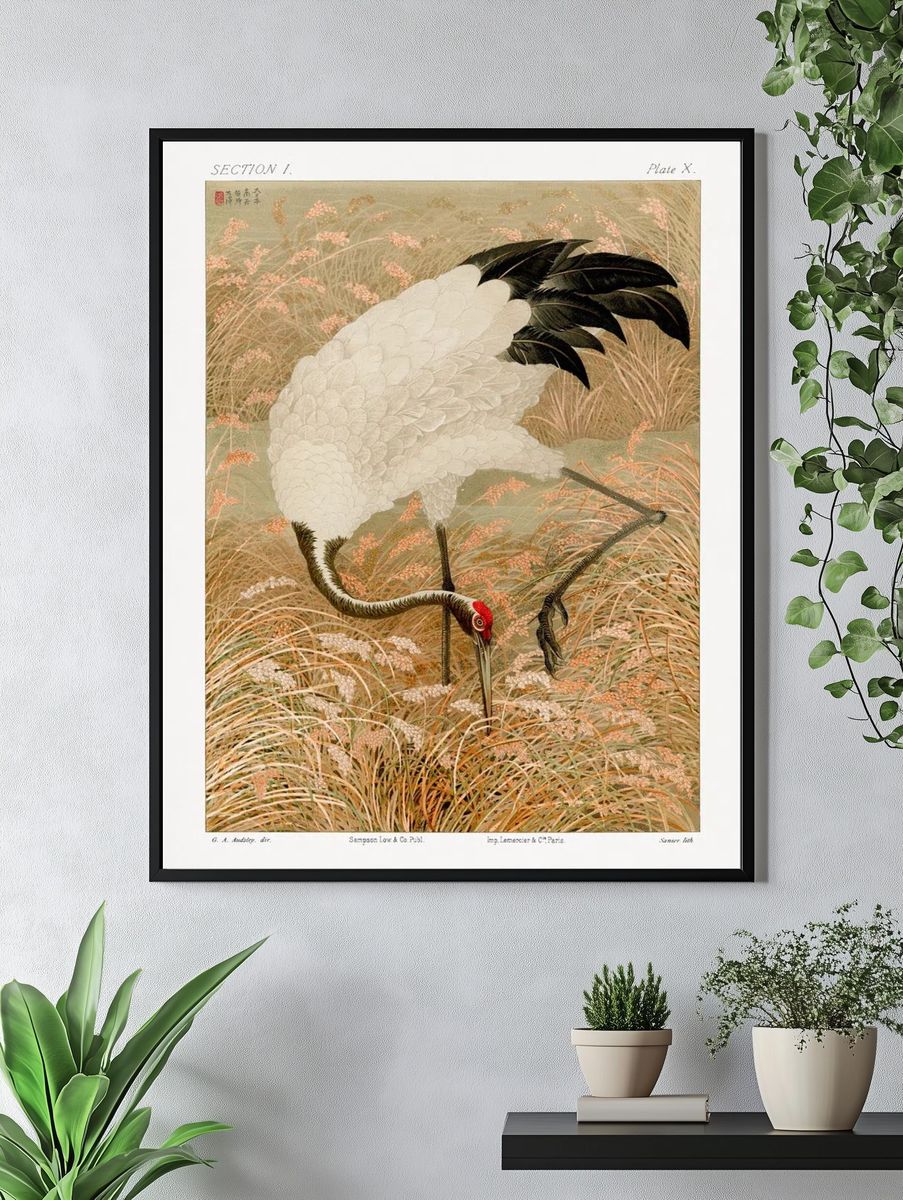 Sarus crane in rice field — Art Print. — room view 4