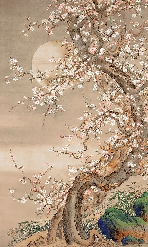 Japanese Plum Blossoms by Sō Shizan (18th Century) — Art Print. poster detail