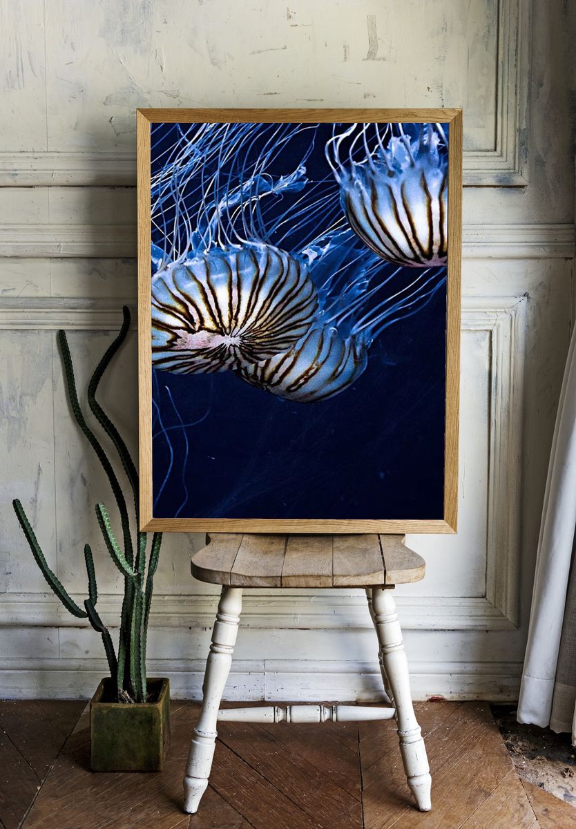 Jellyfish Drift Photography Poster. — room view 1