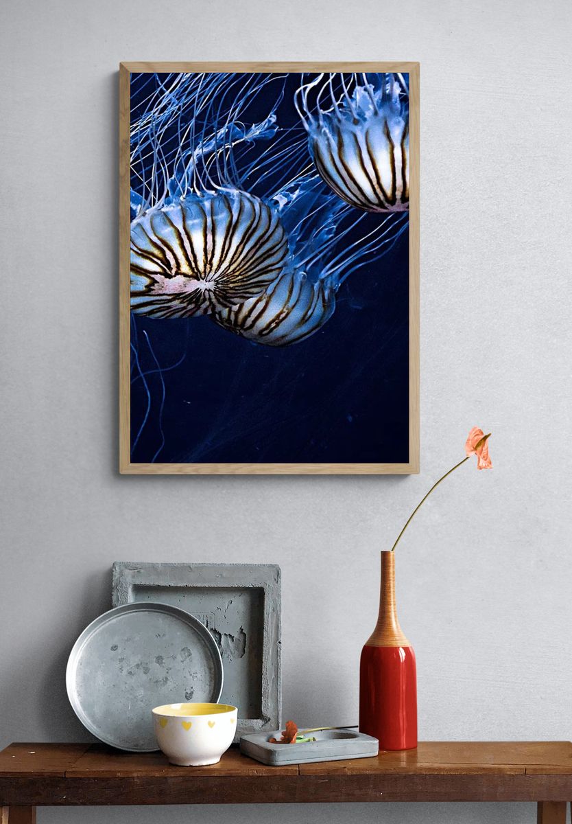 Jellyfish Drift Photography Poster. — room view 3