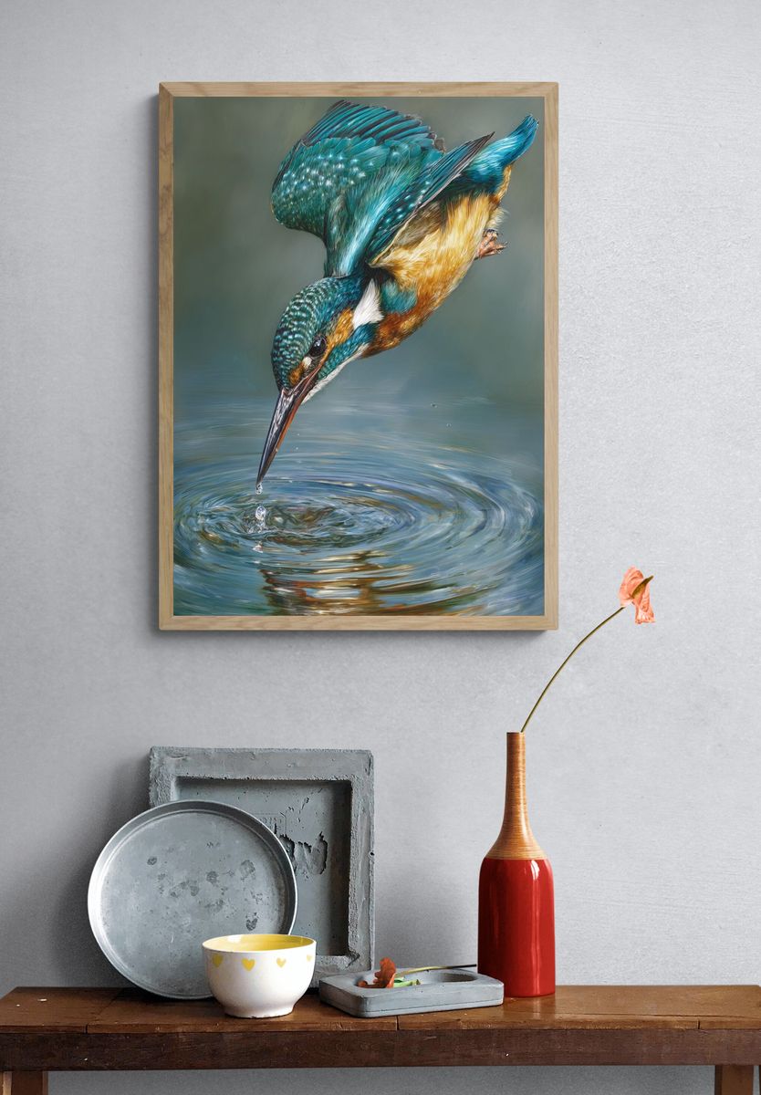 Kingfisher Diving — Fine Art Print. — room view 3