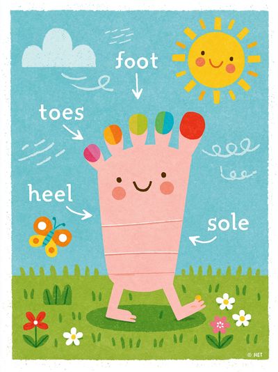 Happy Foot Anatomy Kids Print. poster