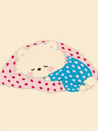 Sleeping Bunny Illustration Poster.