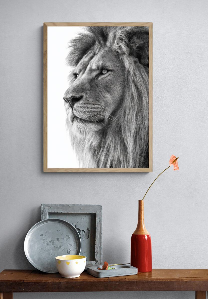 Majestic Lion — Black-White Print. — room view 3