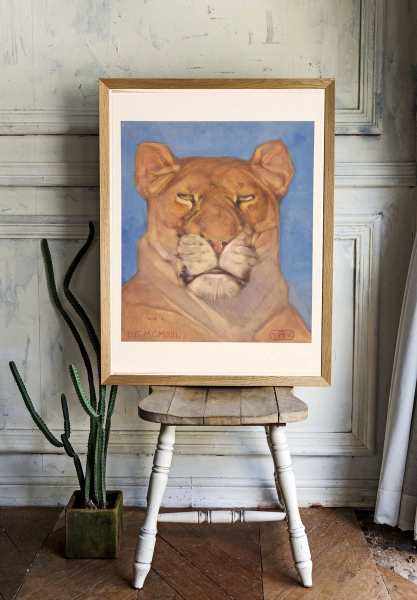 Lioness Portrait — Fine Art Print. — room view 1