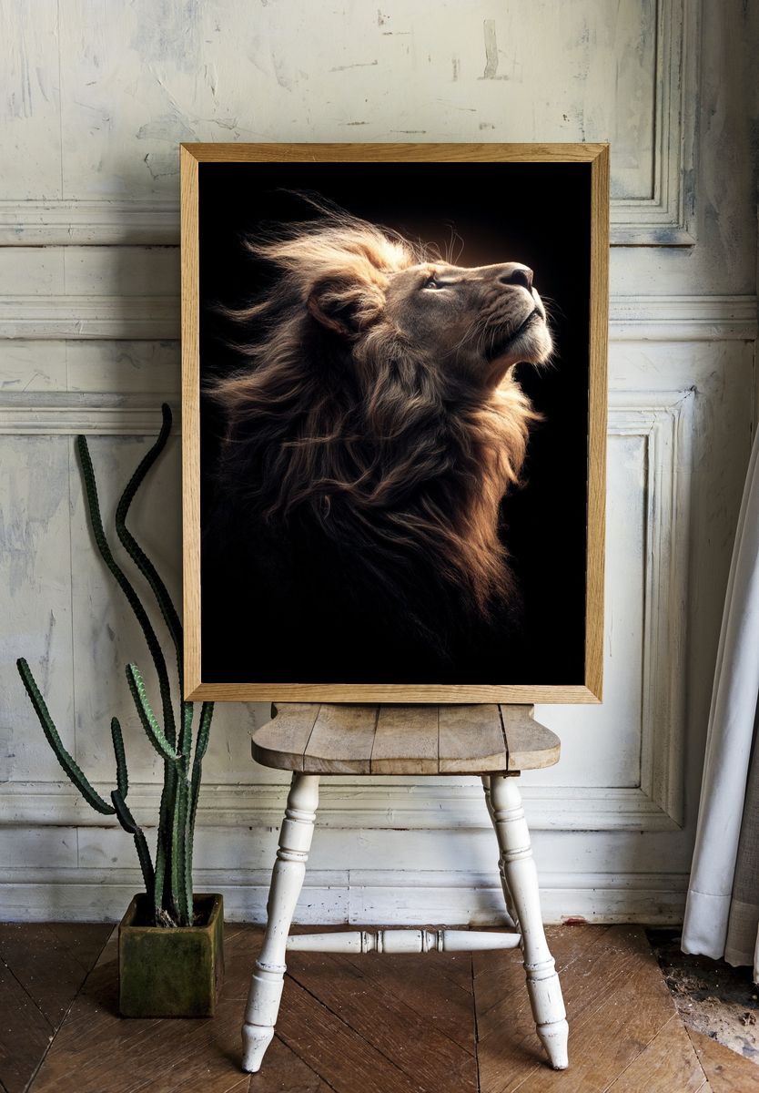 Majestic Lion Portrait Poster. — room view 1