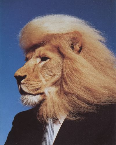 Lion in Suit — Surrealism Print. poster print