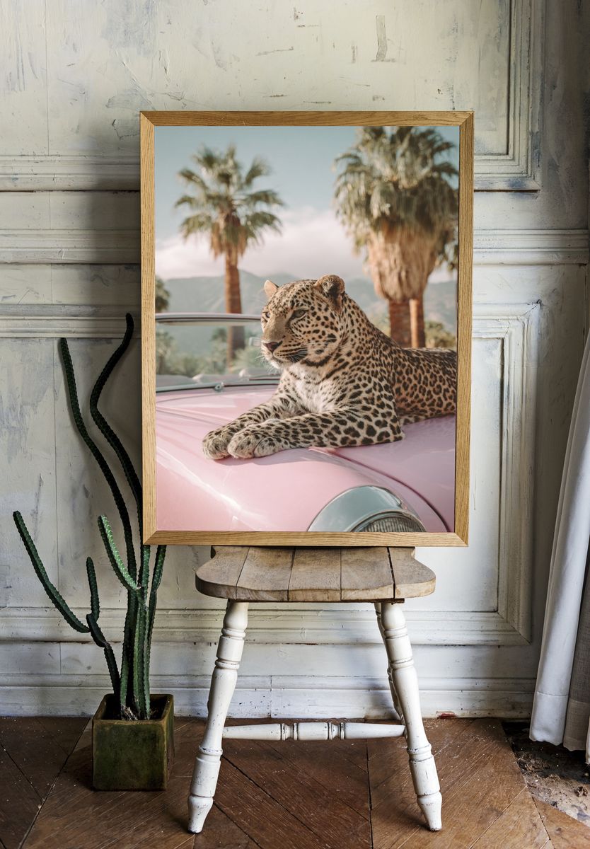 Leopard on Pink Car — Photography Print. — room view 1
