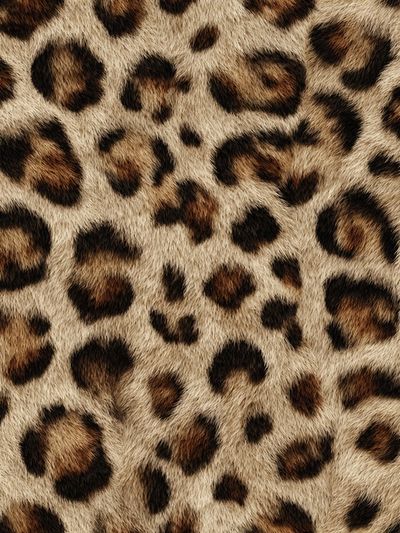 Leopard Print Poster. poster print