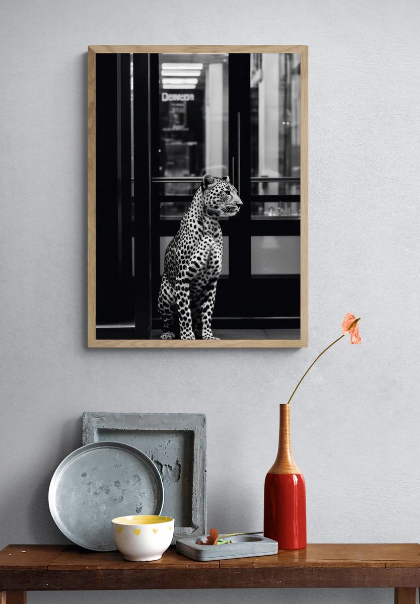 Leopard in Urban Setting — Photography Print. — room view 3