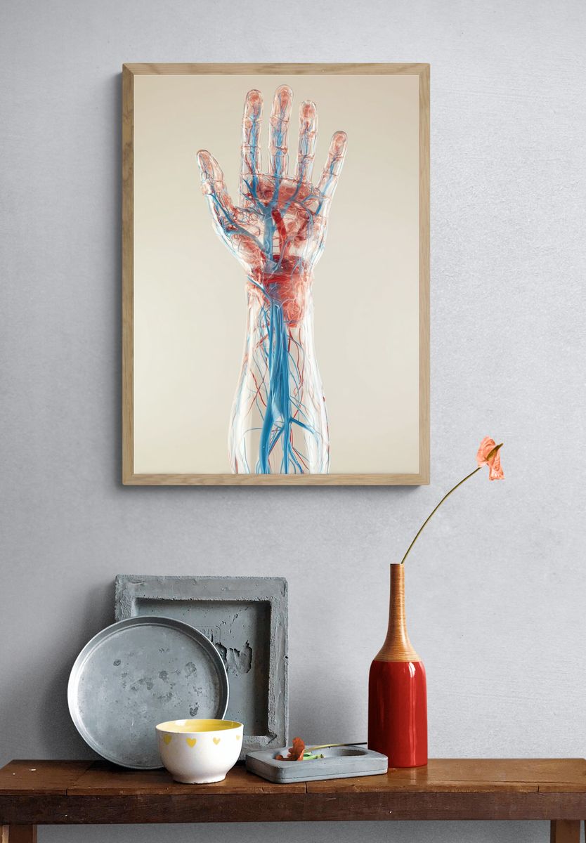 Anatomical Hand — Medical Illustration Poster. — room view 3