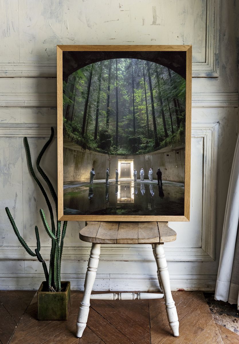 Mysterious Forest Chamber — Photography Print. — room view 1