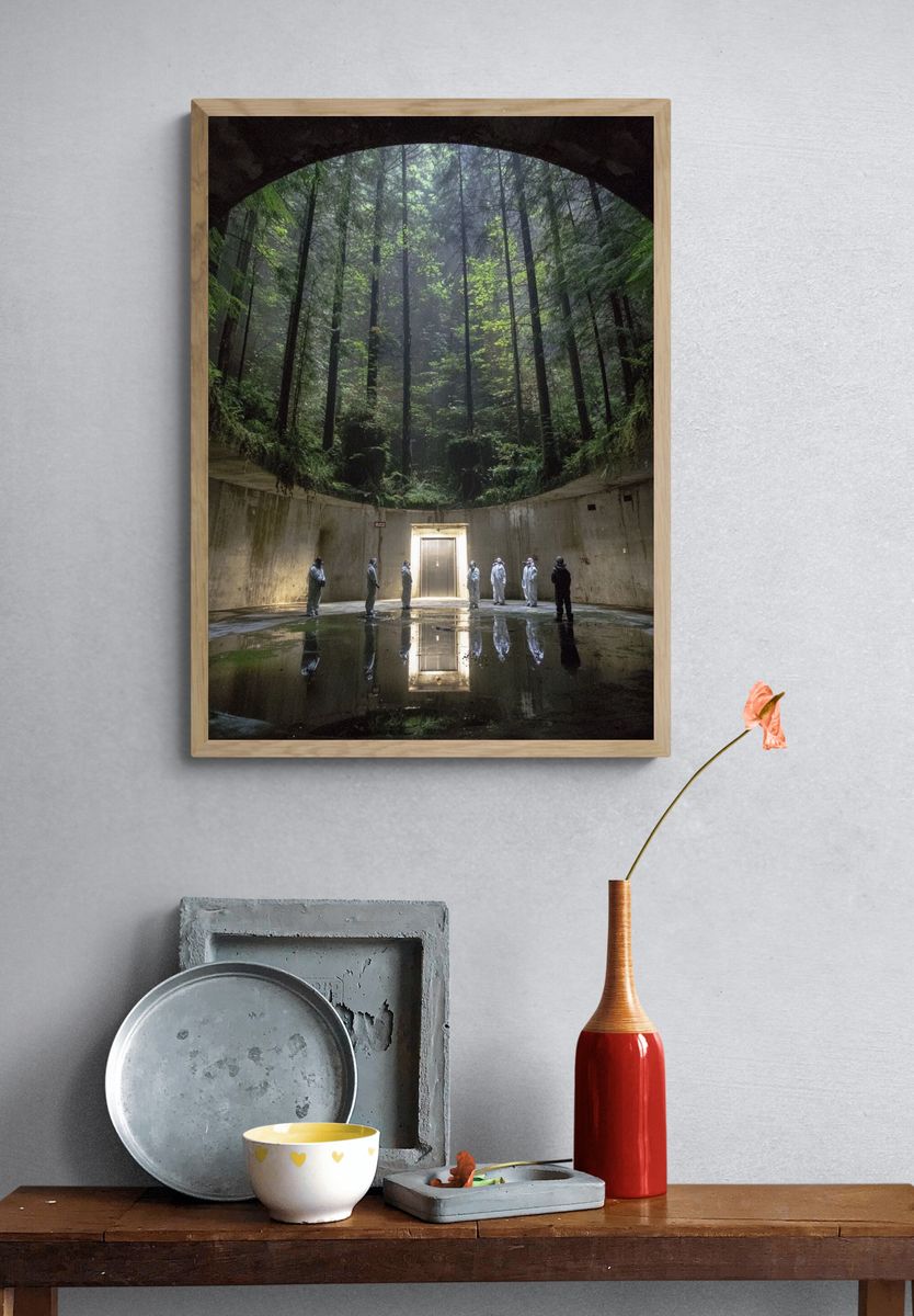 Mysterious Forest Chamber — Photography Print. — room view 3