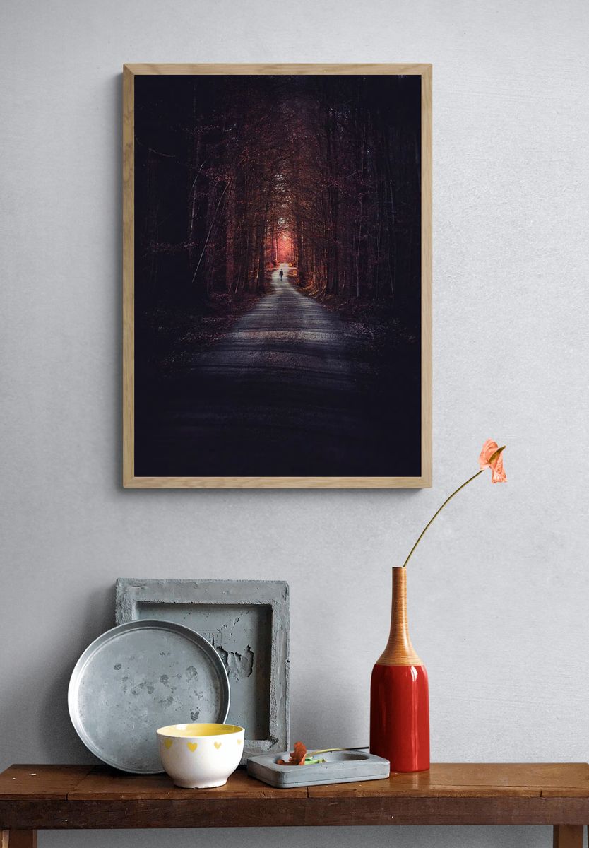 Mysterious Forest Path — Photography Print. — room view 3