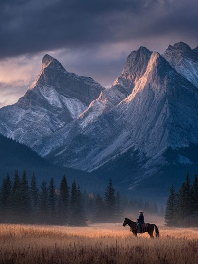 Mountain Landscape with Horse — Photography Print. poster print