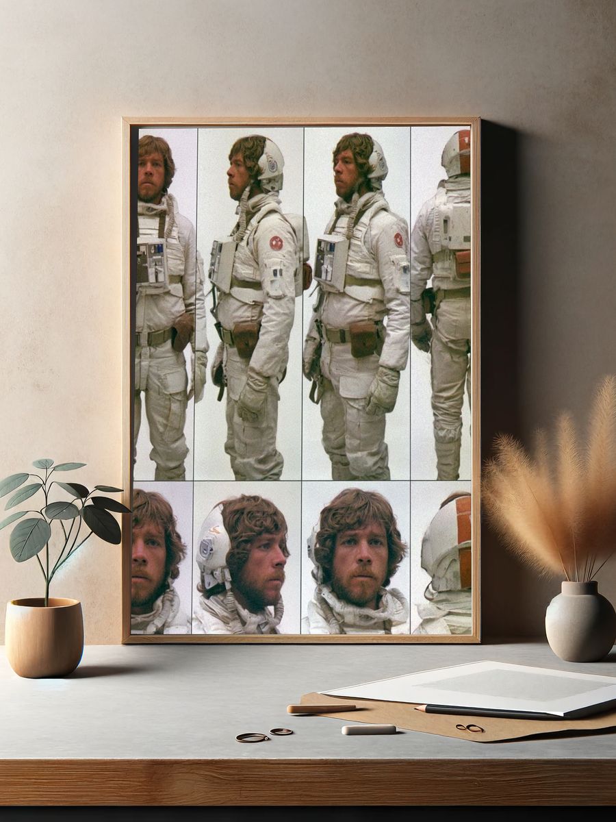 Luke Skywalker Space Suit Poster. — room view 2