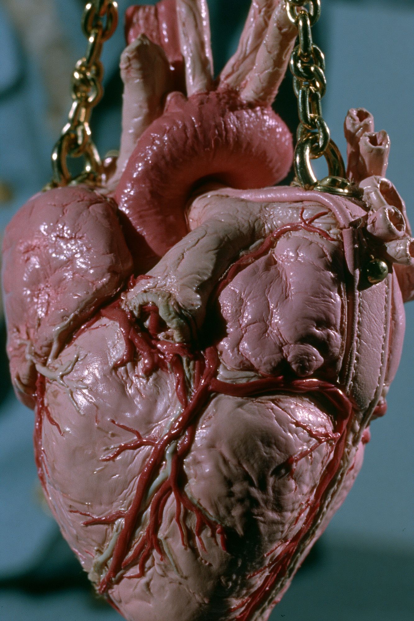 Suspended Anatomical Heart Horror Print. poster — movies art