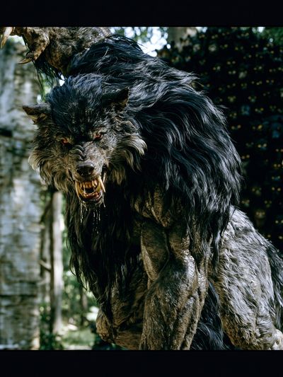 Werewolf Horror Movie Poster.