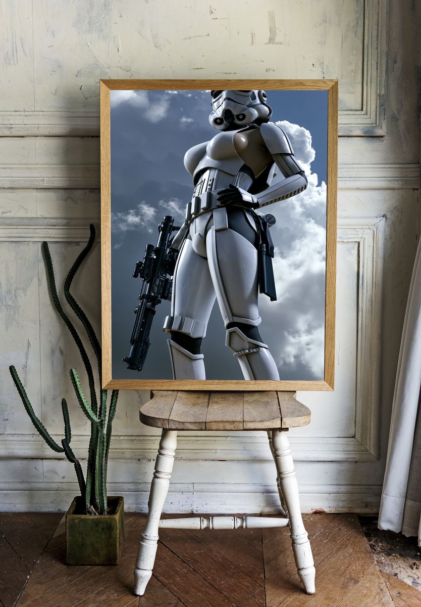 Stormtrooper Sky Patrol Poster. room preview