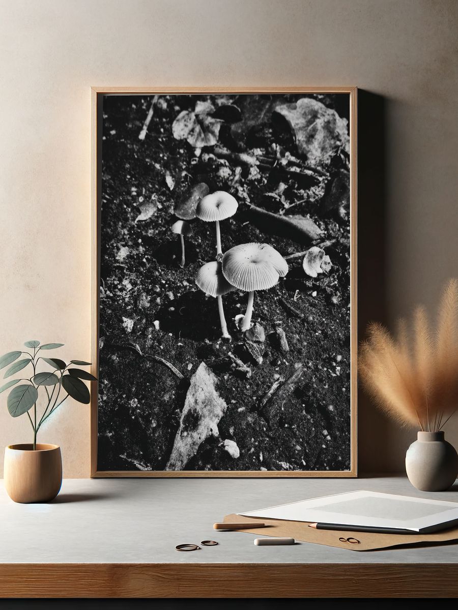 Mushrooms in Black and White Poster. — room view 2
