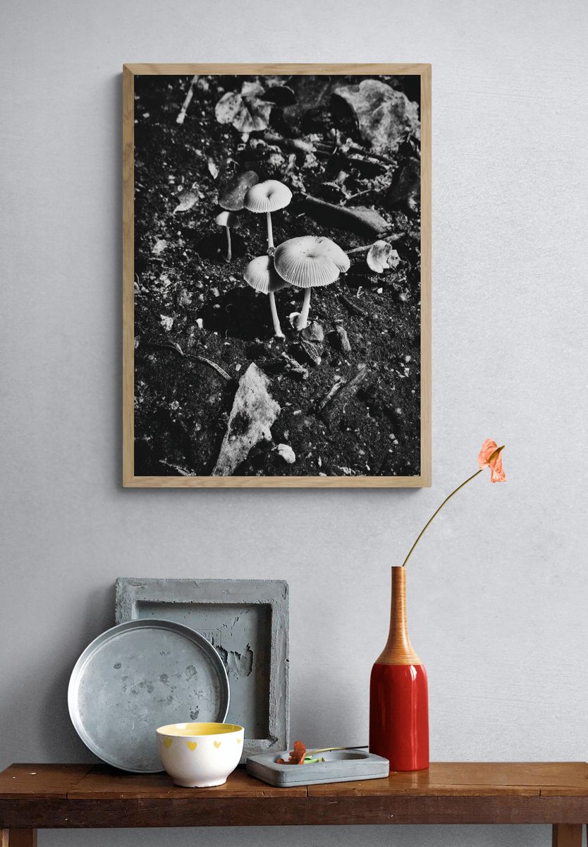 Mushrooms in Black and White Poster. — room view 3