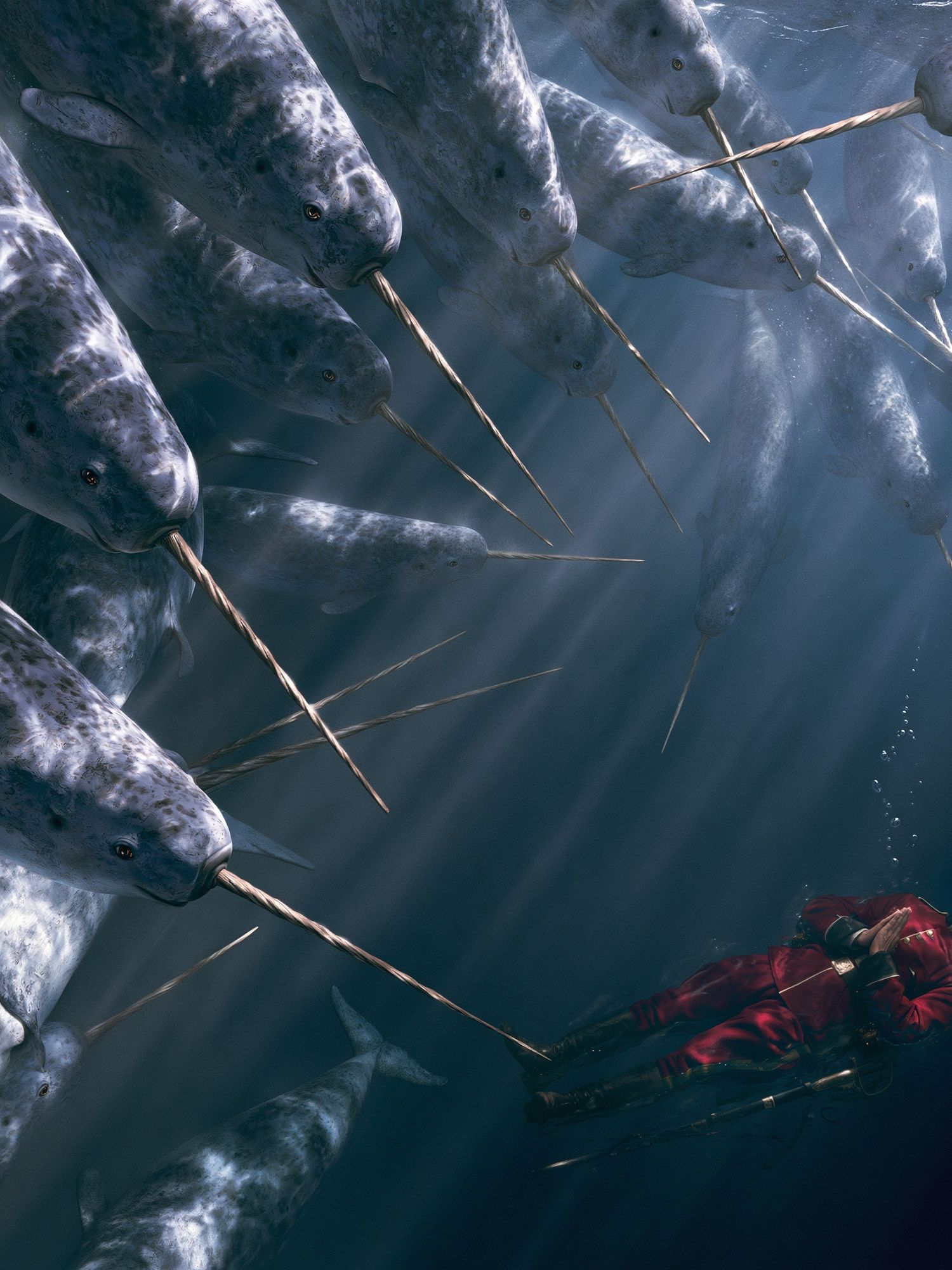 Narwhal Encounter Illustration Poster. poster detail