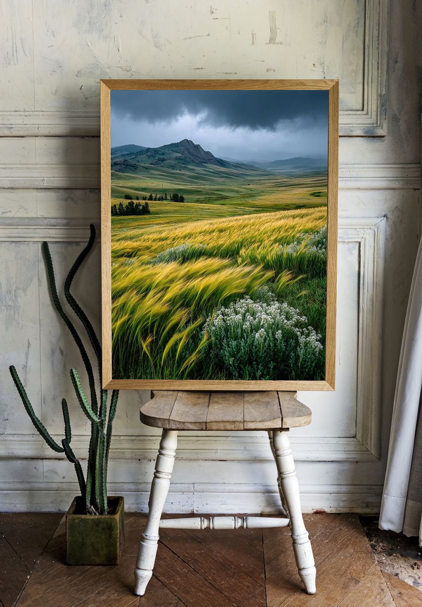 Golden Fields Under Stormy Sky Poster. — room view 1