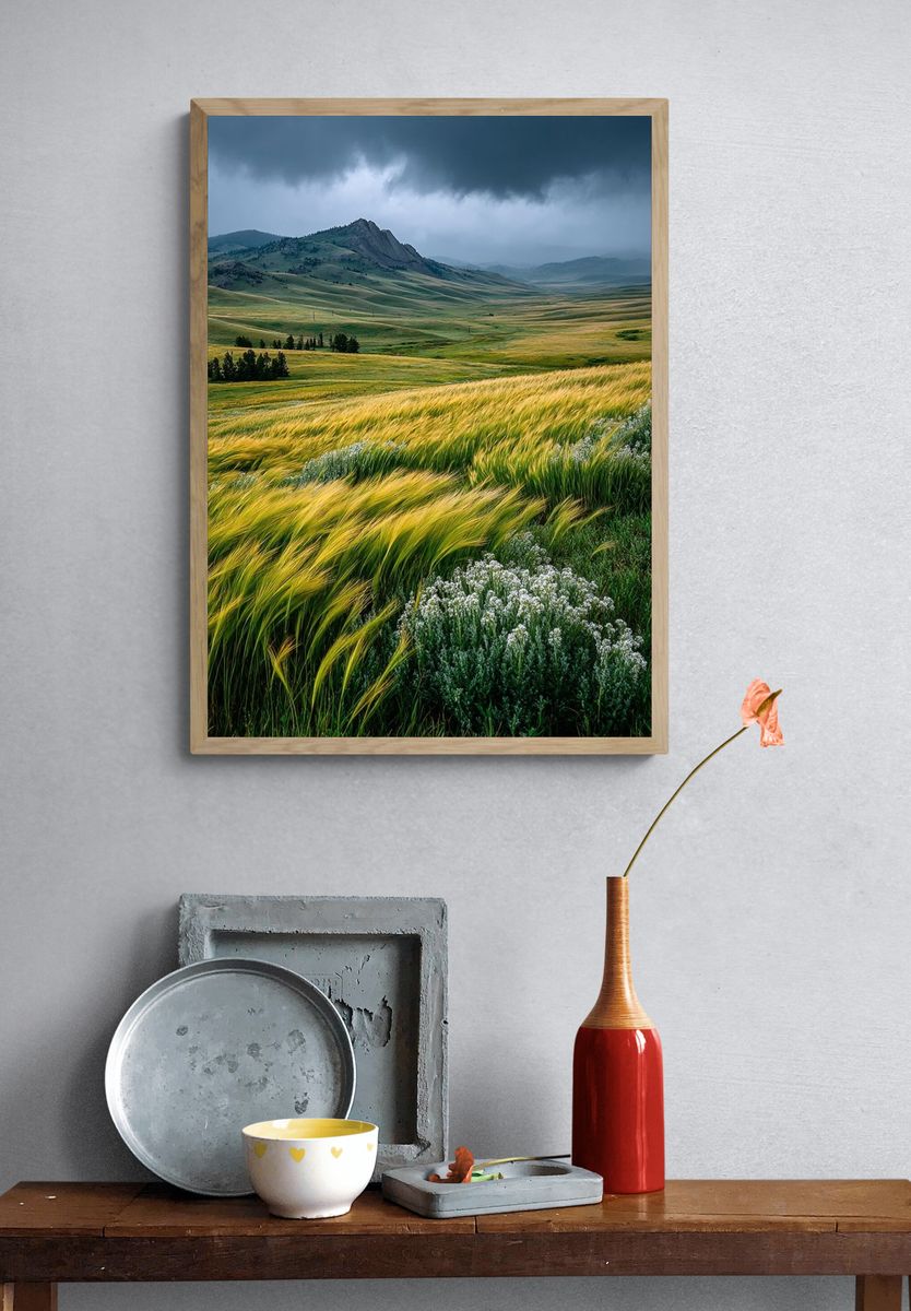 Golden Fields Under Stormy Sky Poster. — room view 3