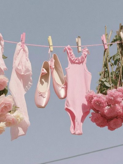 Pink Ballet Laundry Still Life Poster. poster