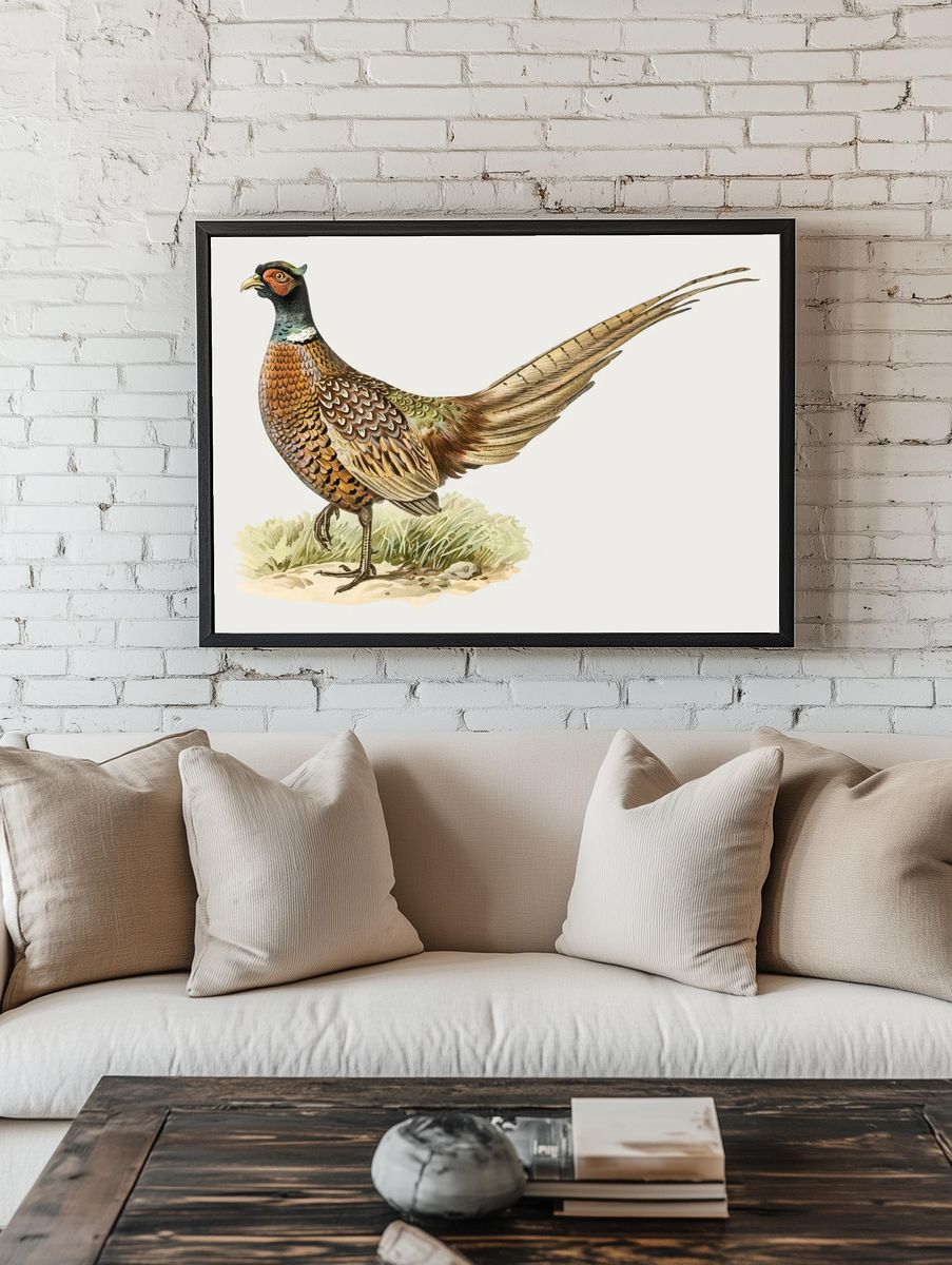 Colorful Pheasant Illustration Poster. — room view 1