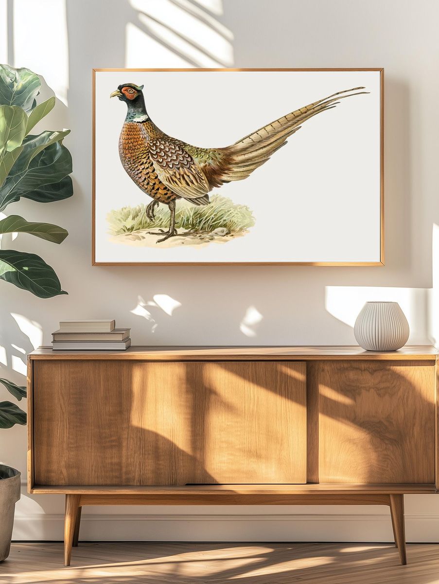 Colorful Pheasant Illustration Poster. — room view 3