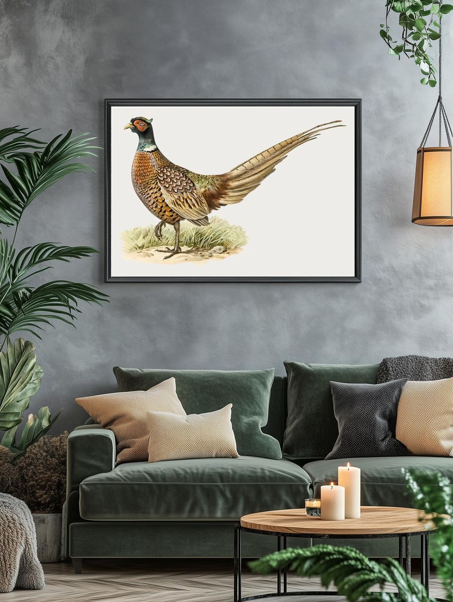 Colorful Pheasant Illustration Poster. — room view 4