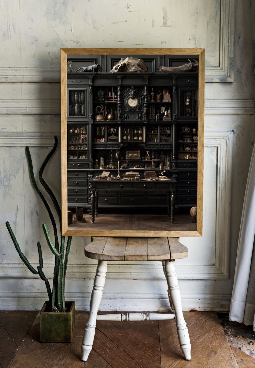 Dark Curiosity Cabinet Photography Poster. room preview