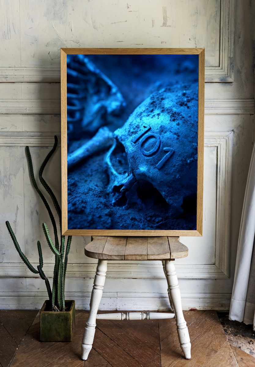 Blue Skull Macro Photography Poster. — room view 1