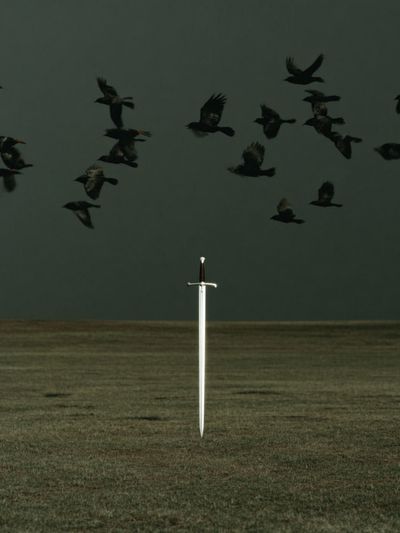 Sword in Field Surrealism Print. poster