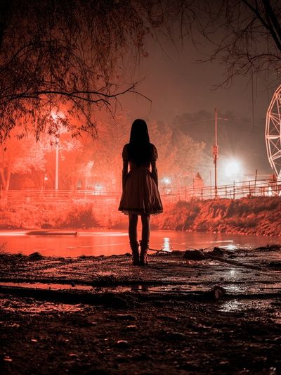 Red Ferris Wheel Nightscape Poster. poster print