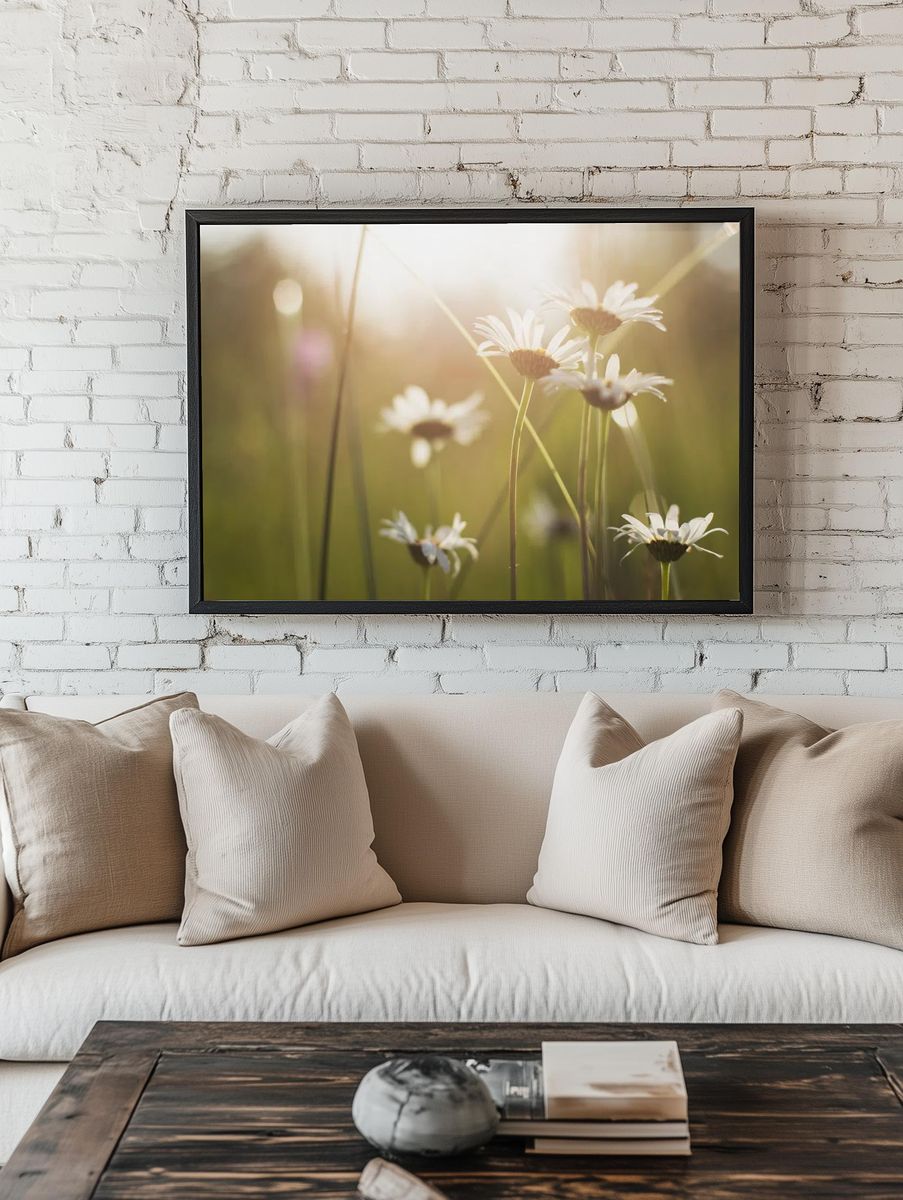Sunlit Wild Daisies Photography Poster. — room view 1