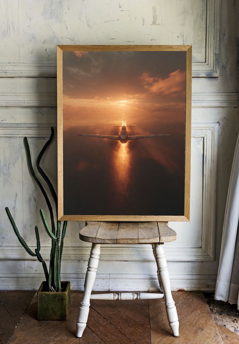 Sunset Flight Photography Poster. — room view 1